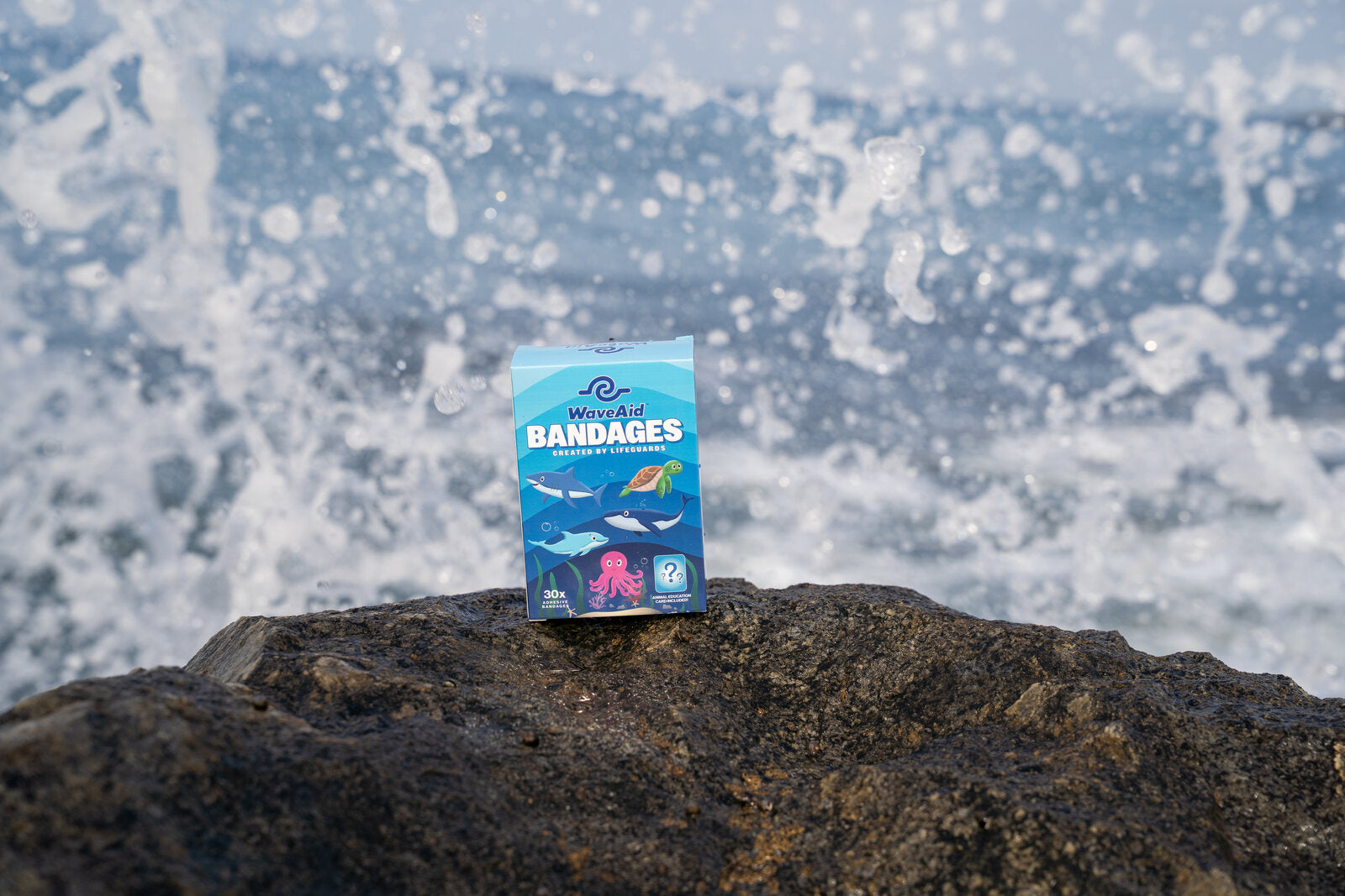 A WaveAid box on a rock as an ocean wave crashes behind it.